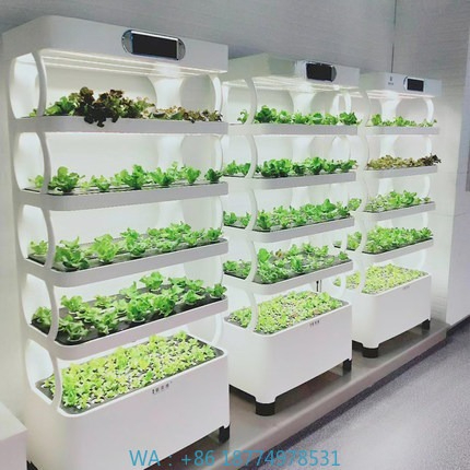 Diy Automation - ระบบปลูกพืชไฮโดรโปนิกส์อัตโนมัติ ระบบปลูกพืชไฮโดรโปนิกส์อัจฉริยะ ไฟปลูกพืชแบบ LED แนวตั้ง