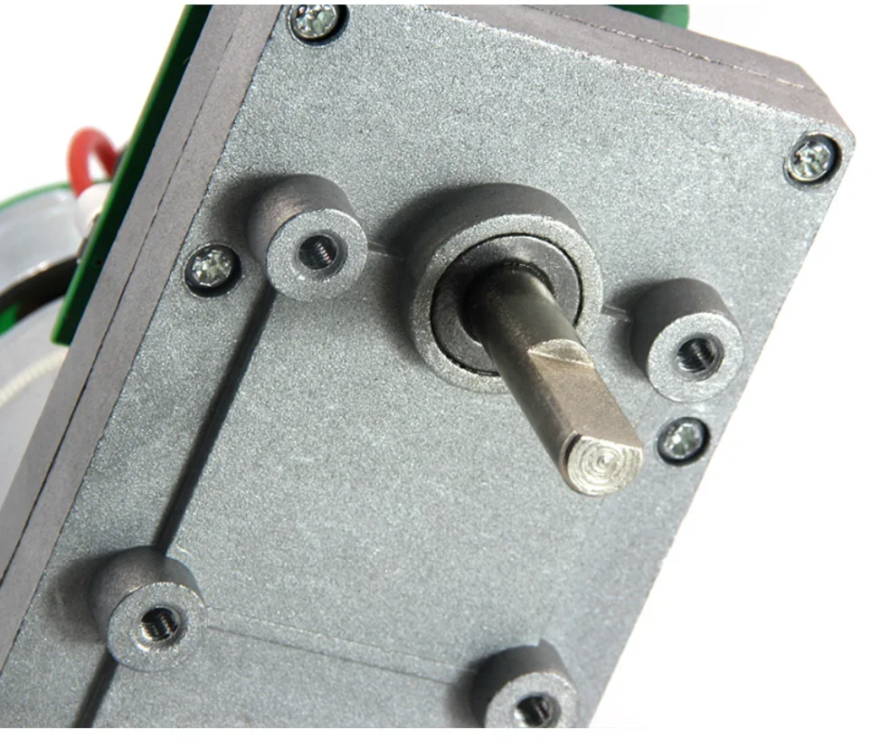 12V 100 กก.150 กกแรงบิดขนาดใหญ - Diy Automation บทวิจารณ์และราคา